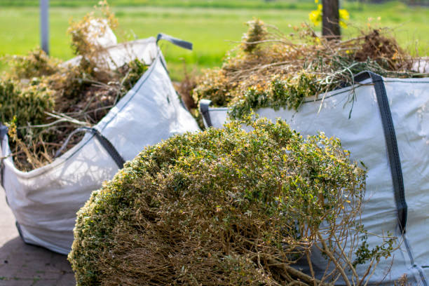 Pamplico, SC Junk Removal Services Company